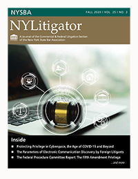 NY Litigator